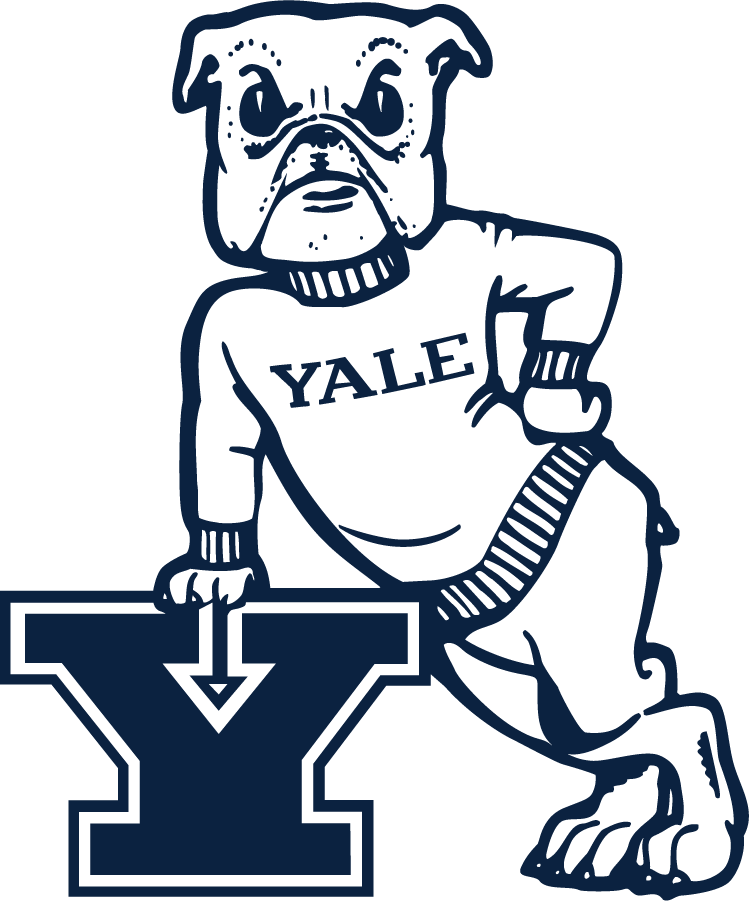 Yale Bulldogs 2019-Pres Secondary Logo iron on transfers for T-shirts